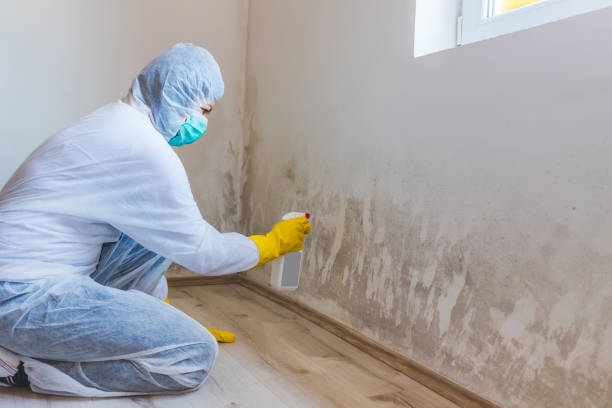Licensed Bathroom Mold Removal service in Yale, VA - Mold Remediation HQ