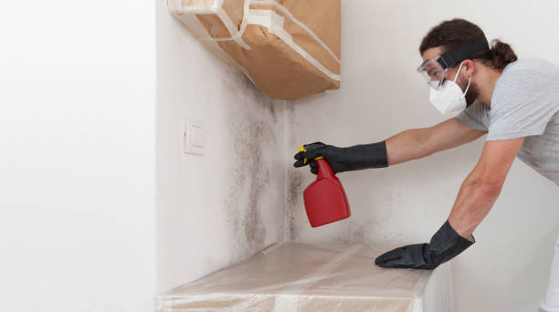 Professional Bathroom Mold Removal technician working in Yale, VA